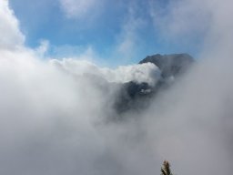 Vis et Lutz : Nos premiers visiteurs !